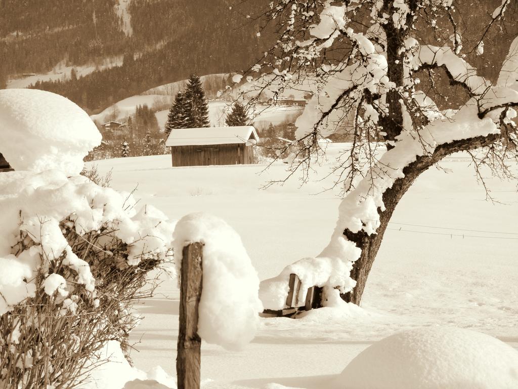 Haus Hohenwarter Lofer Quarto foto